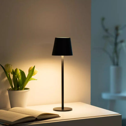 Exclusive touch table lamp